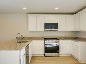 3012  Golden Birch Drive , Dallas Texas 75253