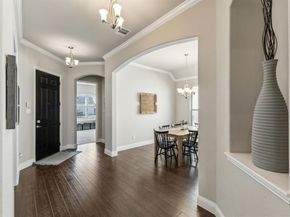 14272  Sedge Grass Drive , Frisco Texas 75033