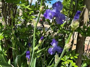 3400  Ambassador Row , Dalworthington Gardens Texas 76013