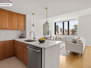 425 Main Street 14C, New York NY 10044