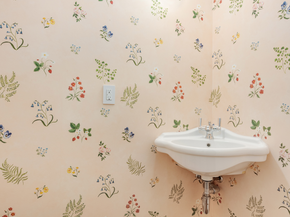 216 Adelphi Street, Brooklyn NY 11205