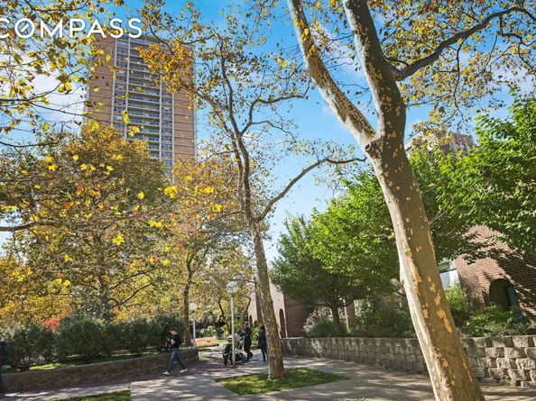 37 Henry Street TH1, Brooklyn NY 11201