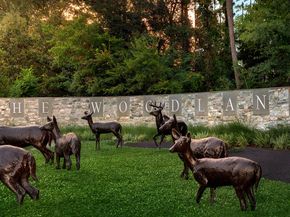 18 S Slash Pine Park, The Woodlands TX 77380