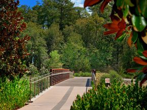 18 S Slash Pine Park, The Woodlands TX 77380
