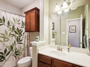 3668 Cottage Pines Lane, Spring TX 77386