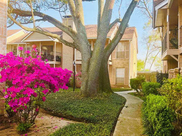 2800 Jeanetta Street 2810, Houston TX 77063