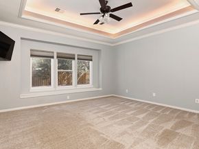 6 Thornbush Place, The Woodlands TX 77381