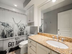 6 Windflower Place, The Woodlands TX 77381
