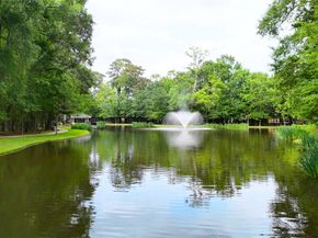19852 Cullen Ridge Drive, Porter TX 77365