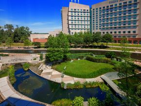 3 Waterway Court 4D, The Woodlands TX 77380