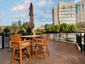 3 Waterway Court 4D, The Woodlands TX 77380