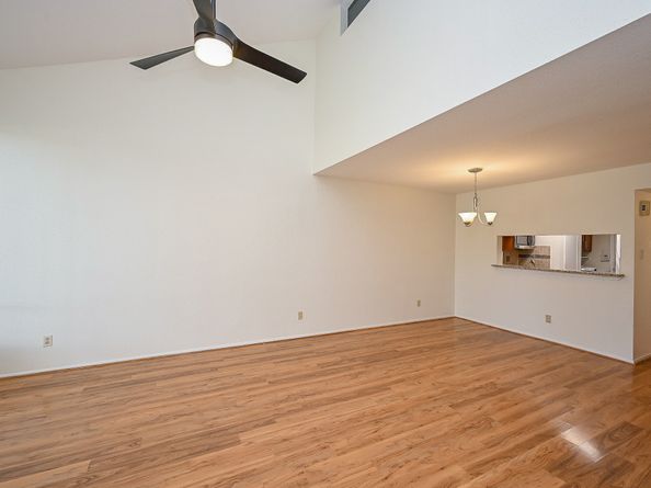 2601 S Braeswood Boulevard 706, Houston TX 77025