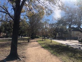 1819 Cortlandt Street, Houston TX 77008