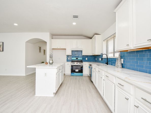 16343 Dryberry Court, Houston TX 77083