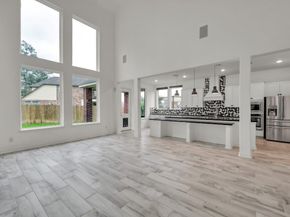 33004 Durango Bay Court, Conroe TX 77385