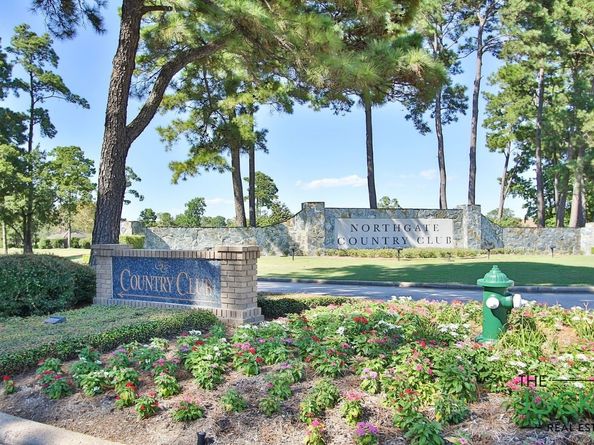 17314 Cedar Placid Lane, Houston TX 77068