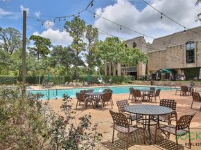 17314 Cedar Placid Lane, Houston TX 77068