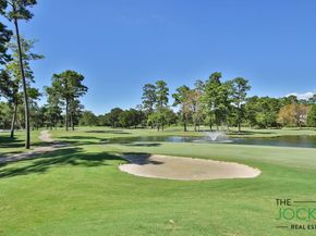 17314 Cedar Placid Lane, Houston TX 77068