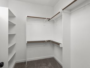 6824 Calhoun Road, Houston TX 77021