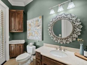 5342 Pine Wood Hills Court, Spring TX 77386