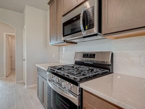 19550 Perissa Terrace Drive, Hockley TX 77447