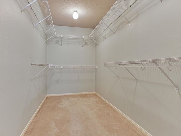 930 Arbor Pine, Tomball TX 77375