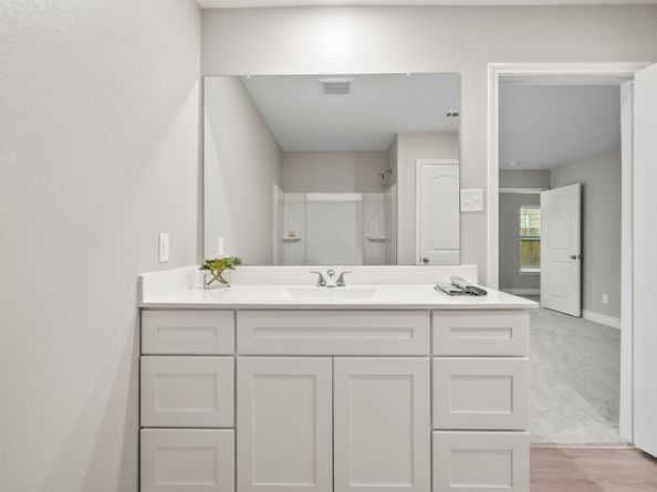 6230 El Cobre Drive, Houston TX 77048