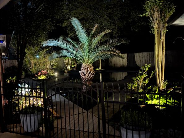 22 Cokeberry Street, Spring TX 77380