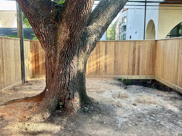 2434 QUENBY Street, Houston TX 77005