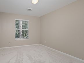 48 W New Avery Place, The Woodlands TX 77382