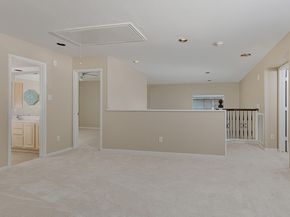 48 W New Avery Place, The Woodlands TX 77382
