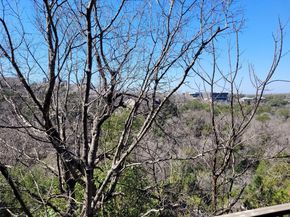 8200 Neely DR 115, Austin TX 78759