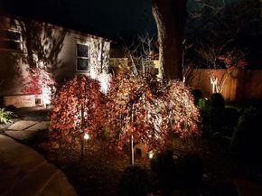 1220 S Myrtle ST, Georgetown TX 78626