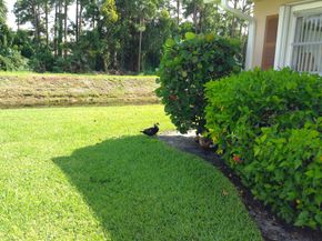 2509 Dudley Drive W D, West Palm Beach FL 33415