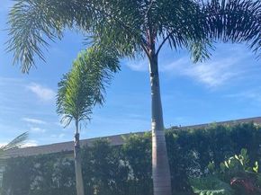 2847 Ashley Drive W G, West Palm Beach FL 33415