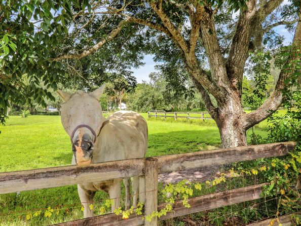 12818 Old Indiantown Road, Jupiter FL 33478