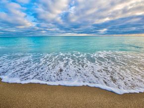 107 Pond Apple Lane 105, Jupiter FL 33458