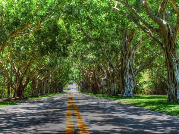 107 Pond Apple Lane 105, Jupiter FL 33458