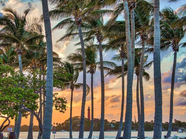 107 Pond Apple Lane 105, Jupiter FL 33458