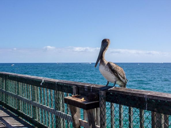 1370 S Ocean Blvd 602, Pompano Beach FL 33062