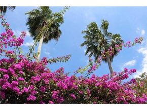 8320 Crespi Blvd 11 11, Miami Beach FL 33141