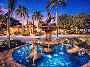 12486 World Cup Lane, Wellington FL 33414