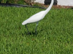 182 Farnham H, Deerfield Beach FL 33442