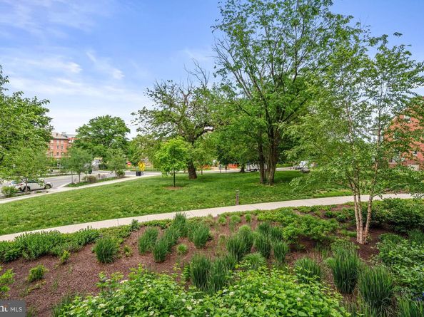 6803 Cameron Drive NW 105, Washington DC 20012