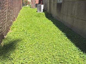 6410 Boyer Street, Philadelphia PA 19119