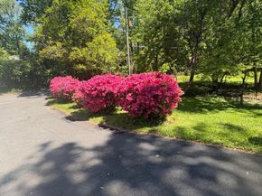 3502 Holly Road, Annandale VA 22003