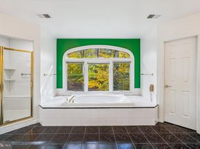 308 Sinegar Place, Potomac Falls VA 20165