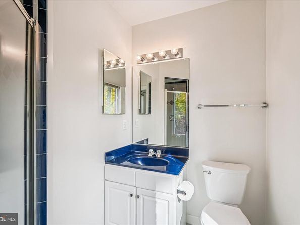 308 Sinegar Place, Potomac Falls VA 20165