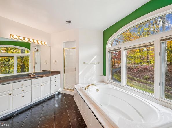 308 Sinegar Place, Potomac Falls VA 20165