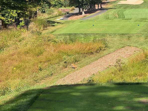 308 Sinegar Place, Potomac Falls VA 20165